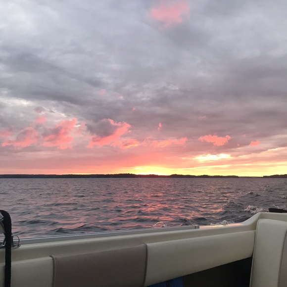 Meet your Posher, Maggie - Picture 1 of 1